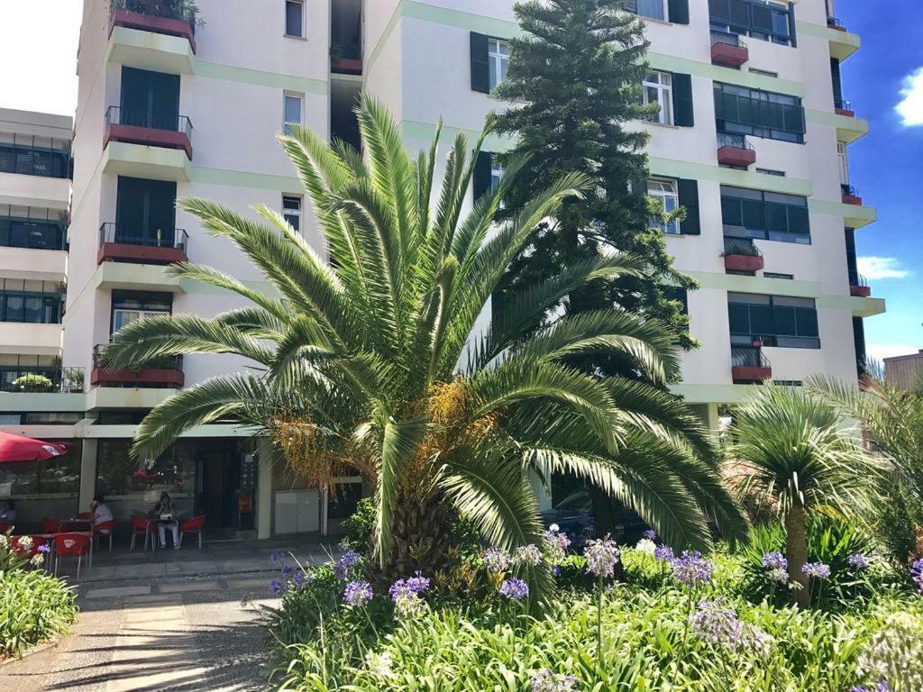Funchal Apartament Marina View With Parking Free ภายนอก รูปภาพ